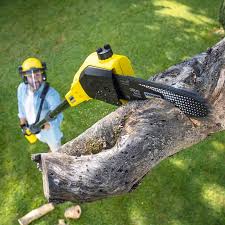 Best Pest Control for Lawns  in Mountain Lake, MN